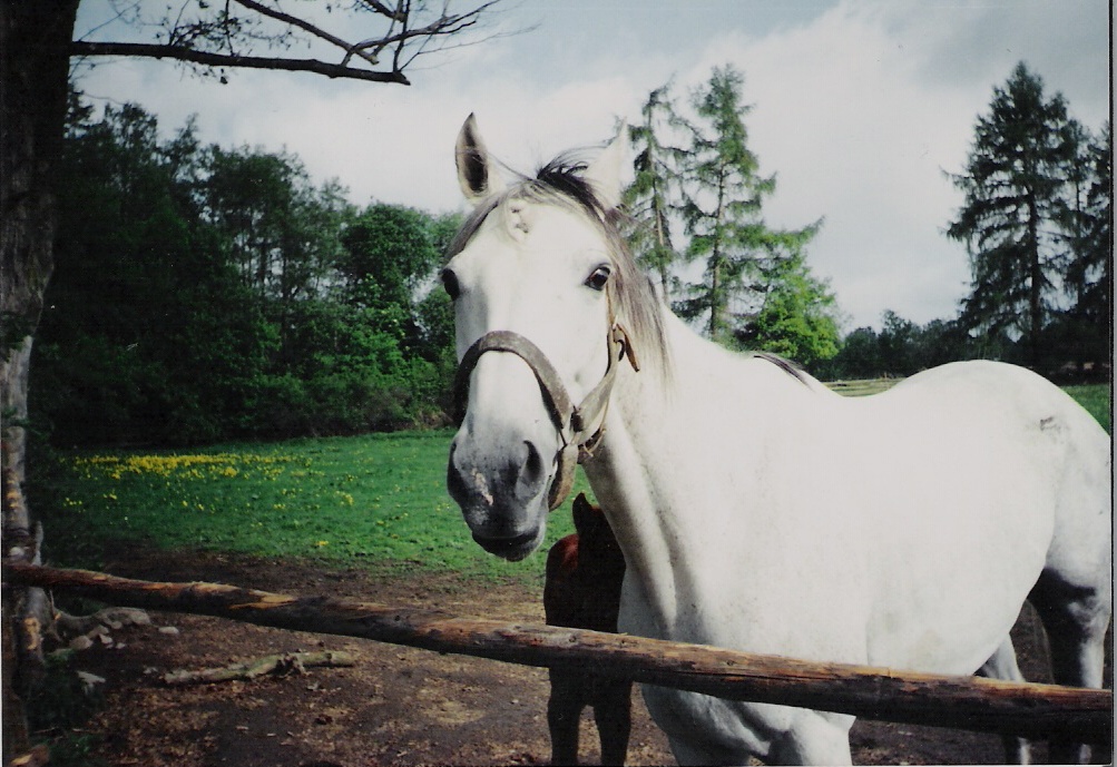 Snímek 001.jpg