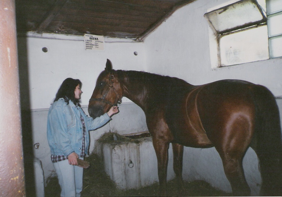 Snímek 003.jpg