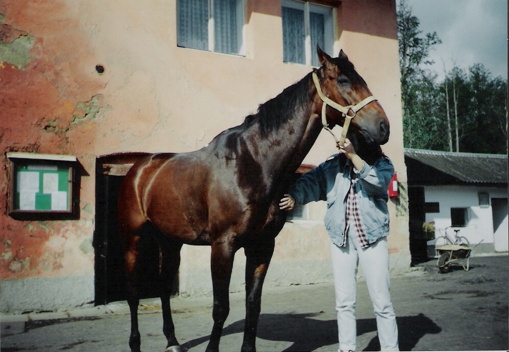 Snímek 004.jpg