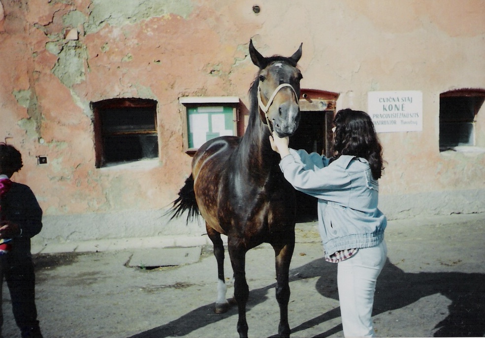 Snímek 006.jpg