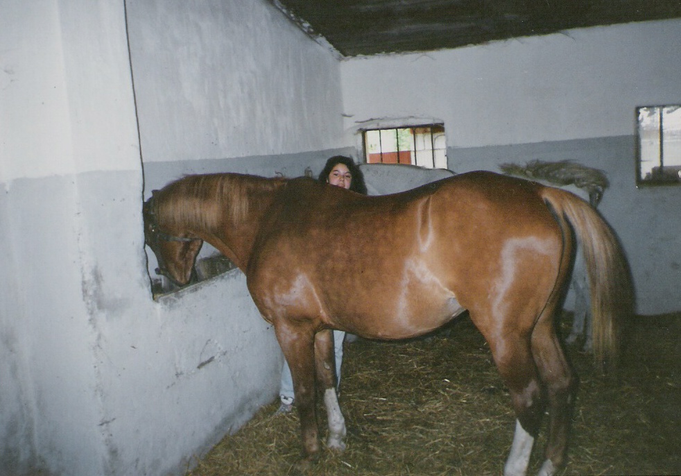 Snímek 010.jpg