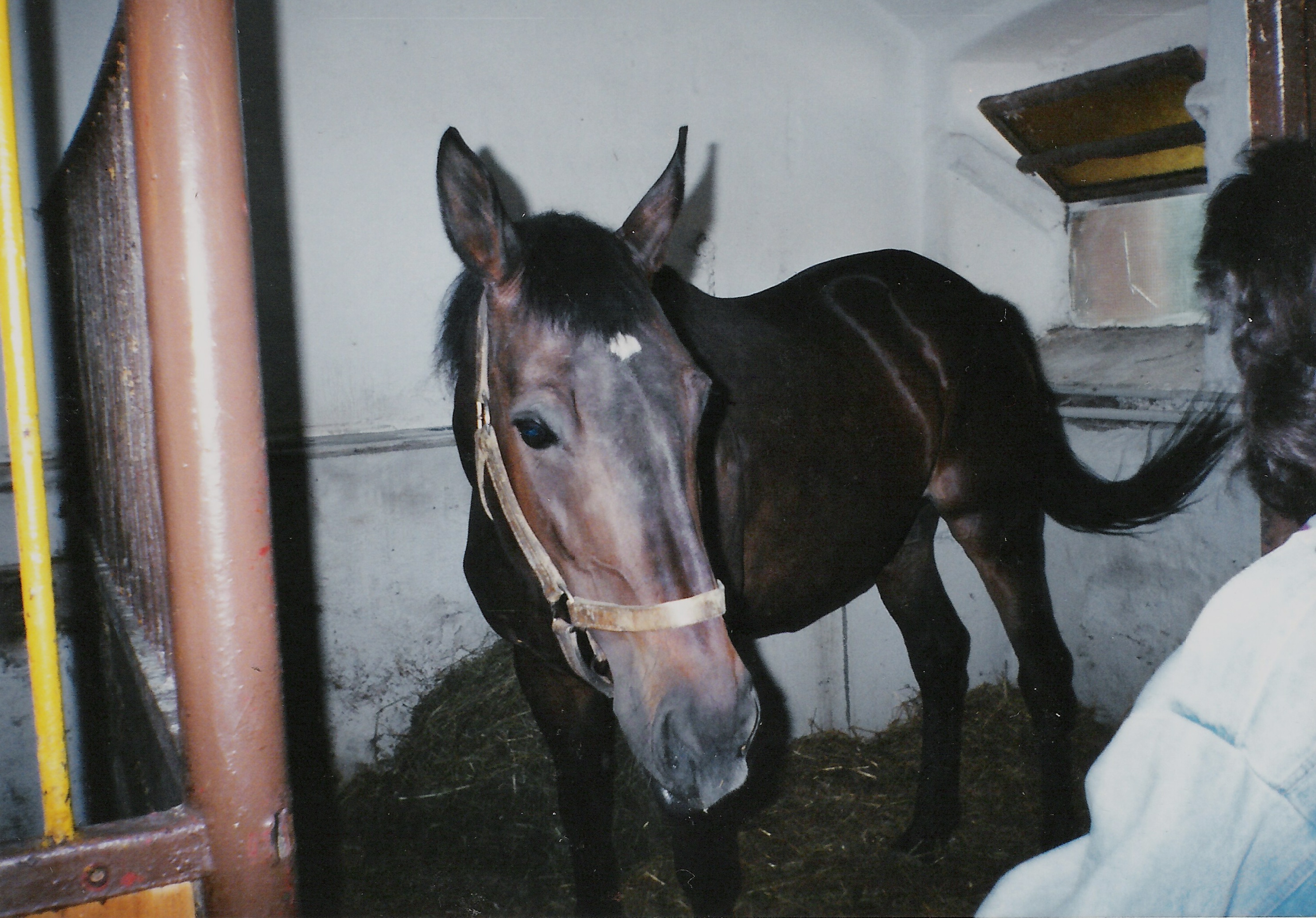 Snímek 011.jpg